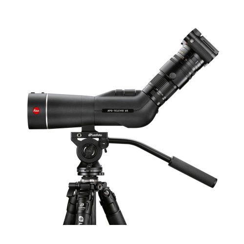   Leica APO-Televid 65 Angled Viewing Spotting Scope kit with 25-50x eyepiece